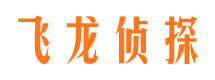 桃城调查公司